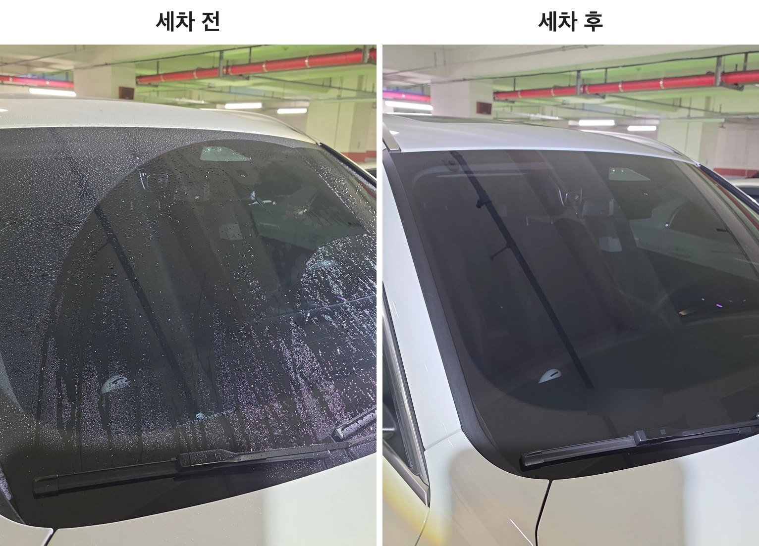 지하주차장에 세운 흰색 차 앞유리 세차 전후 비교. 왼쪽 세차 전은 유리에 물방울과 물자국이 남아 있고, 오른쪽은 세차 후에 유리가 맑아졌어요