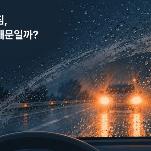 유막제거 방법과 비용 2026: 셀프로 할 때 흔한 실수와 맡길 때 가격